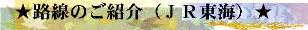 iqC̘HЉ